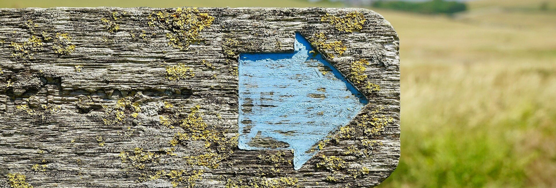 Pixabay: https://pixabay.com/de/photos/sign-post-pfeil-unterzeichnen-post-2432209/